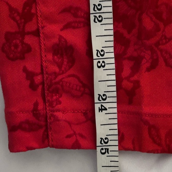 Mini Harajuku for Target Girls Red Pant Velvet Floral Jeans Size XL 14/16 - Picture 6 of 8
